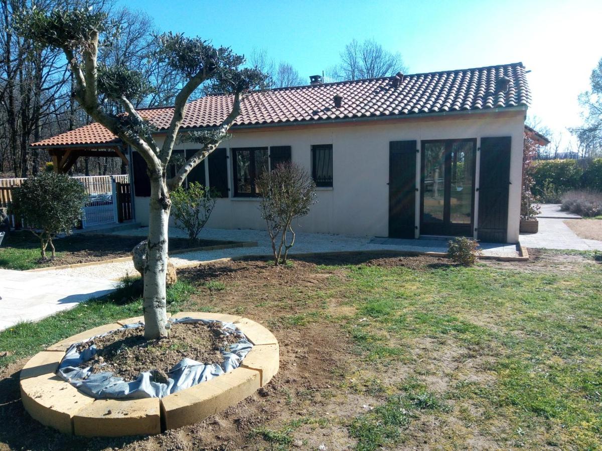 Les Pruniers De La Cipiere Villa Peyzac-le-Moustier Exterior photo